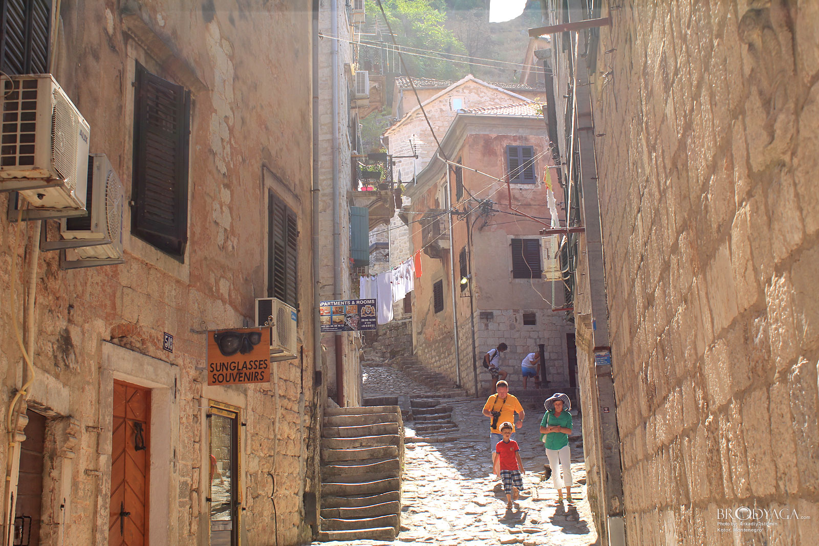 Kotor